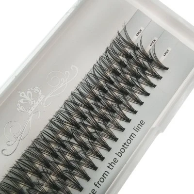 20D Lashes